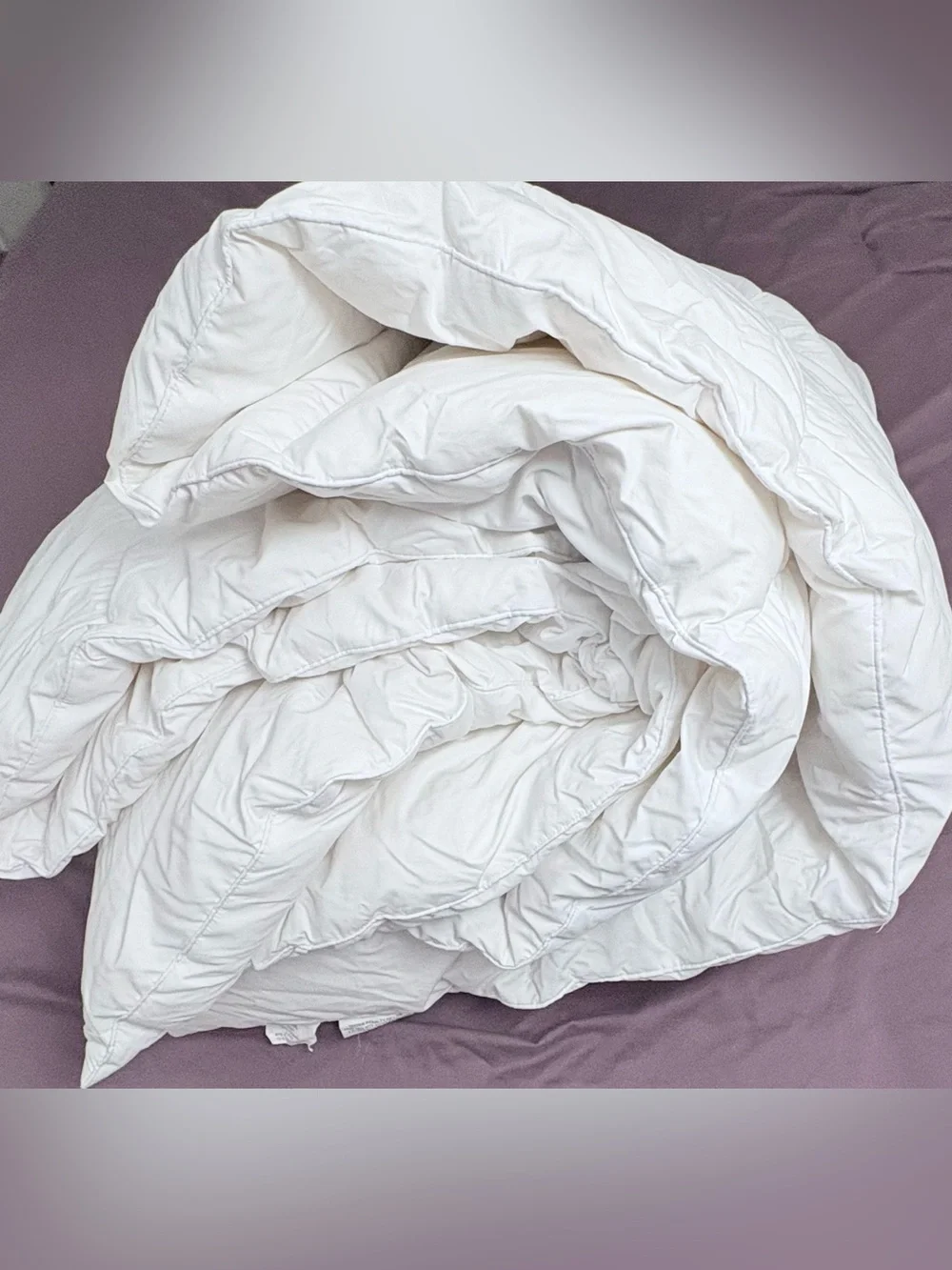 True North Queen Goose Down Feather Comforter Duvet Insert White